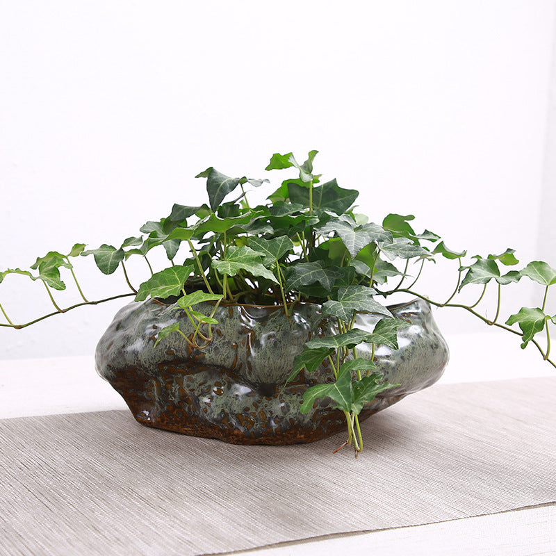 Retro Large Turtle Fish Tank Hydrocotyle Bowl