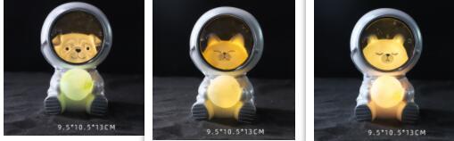 Resin Starry Sky Animal LED Night Light for Bedrooms