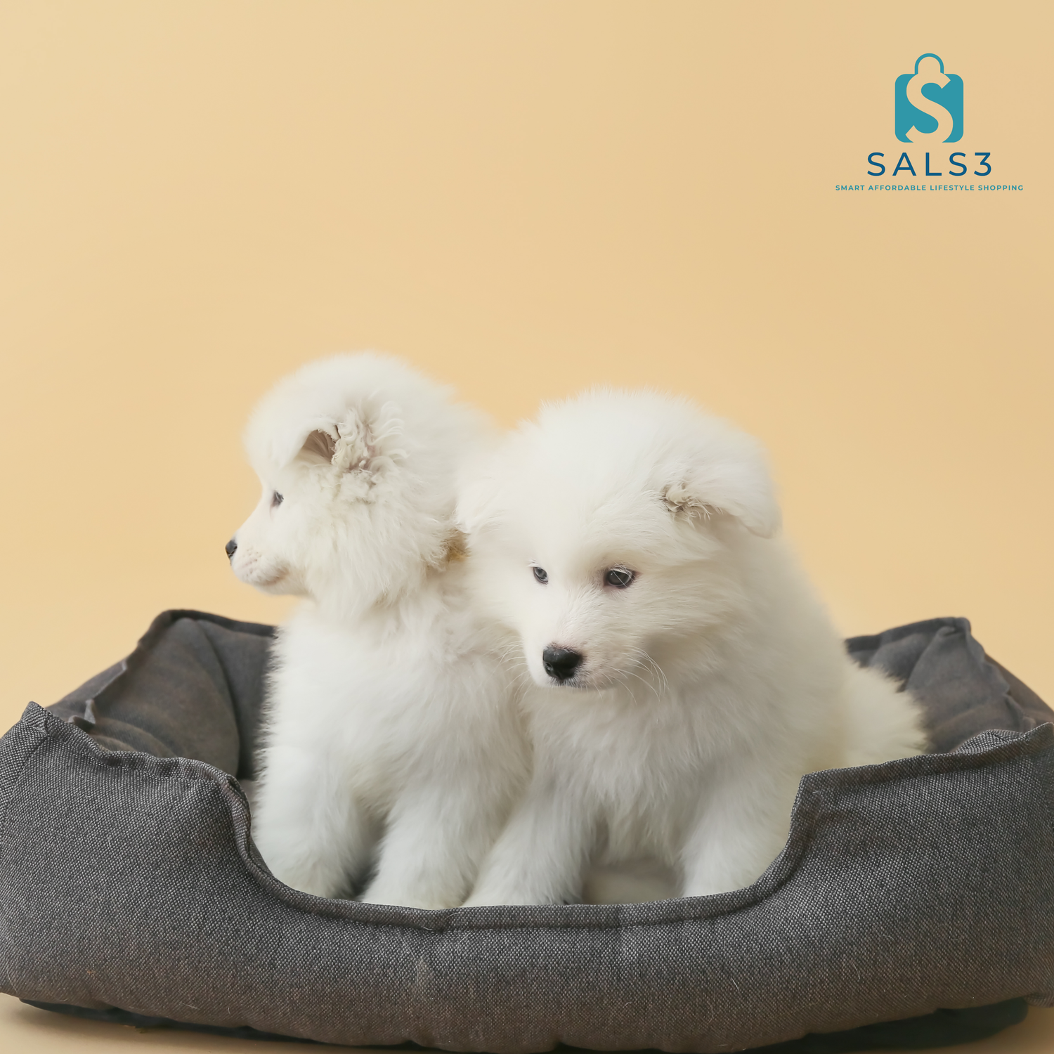 Purrfect Dreams & Wagging Tails – Pet Bedding Made for Ultimate Comfort