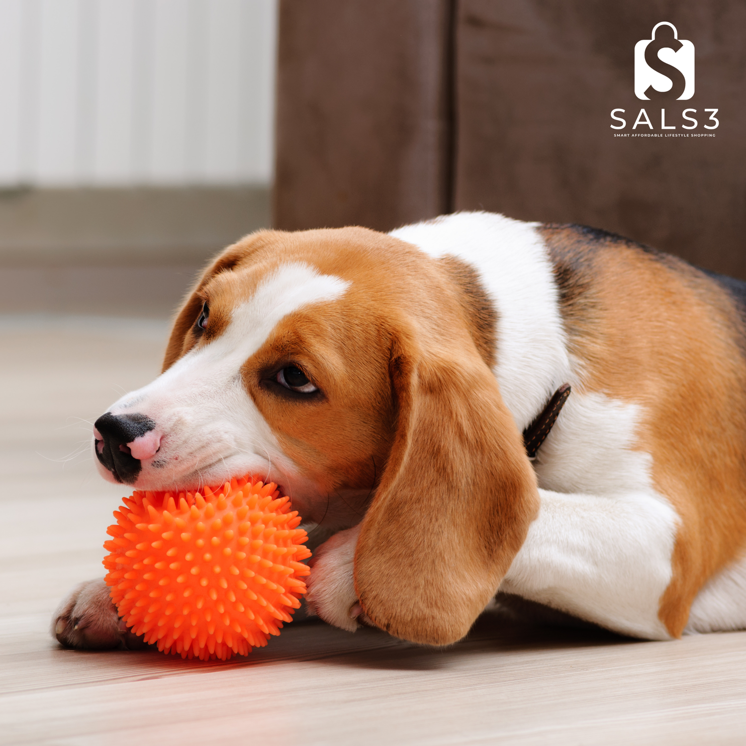 Best Chew Toys for Dogs to Keep Your Pup Entertained and Healthy