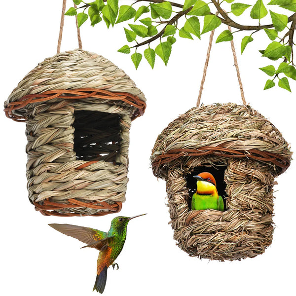 Bird Supplies
