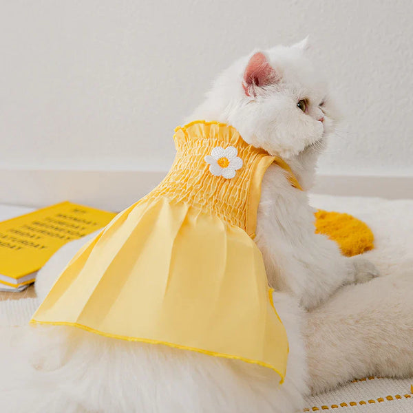 Pet Apparel