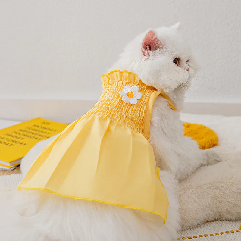 Pet Apparel