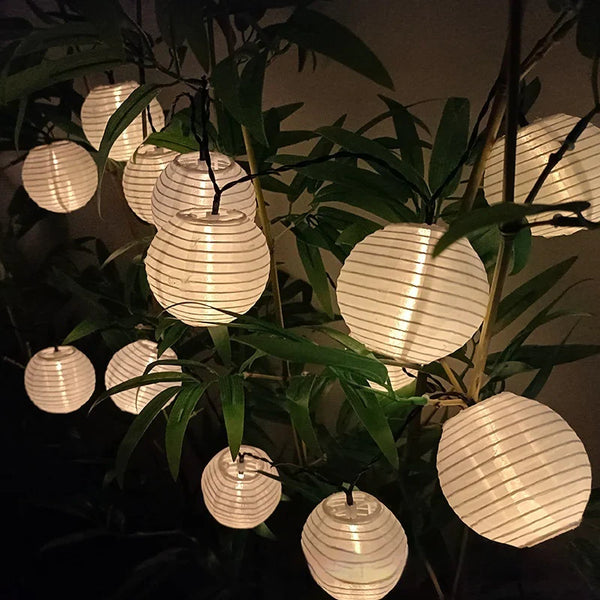 Lighting
