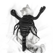Halloween Scorpion Pet Costume – Funny Cat and Dog Party Outfit