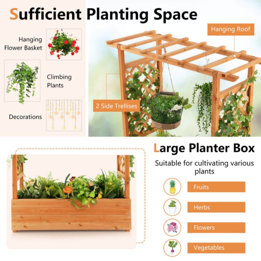 Raised Garden Bed With Trellis Or Climbing Plant And Hanging Roof