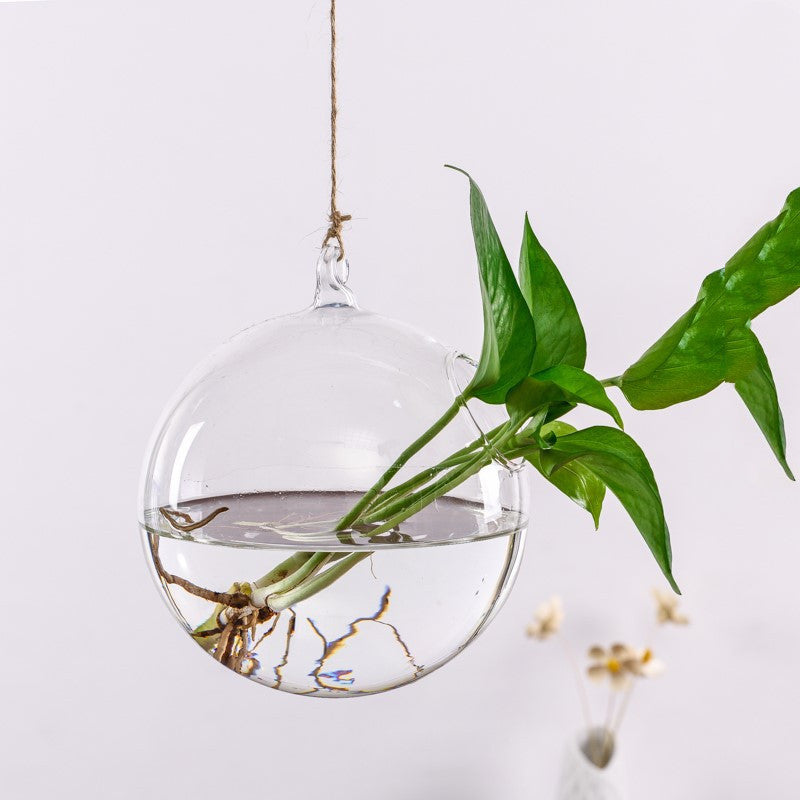 Creative Hydroponic Plant Aquarium Hanging Transparent Glass Vase