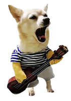 Guitarist