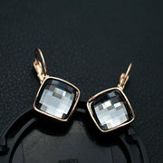 Korean Style Graceful Square Alloy Earrings For Women