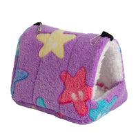 Purple Starfish