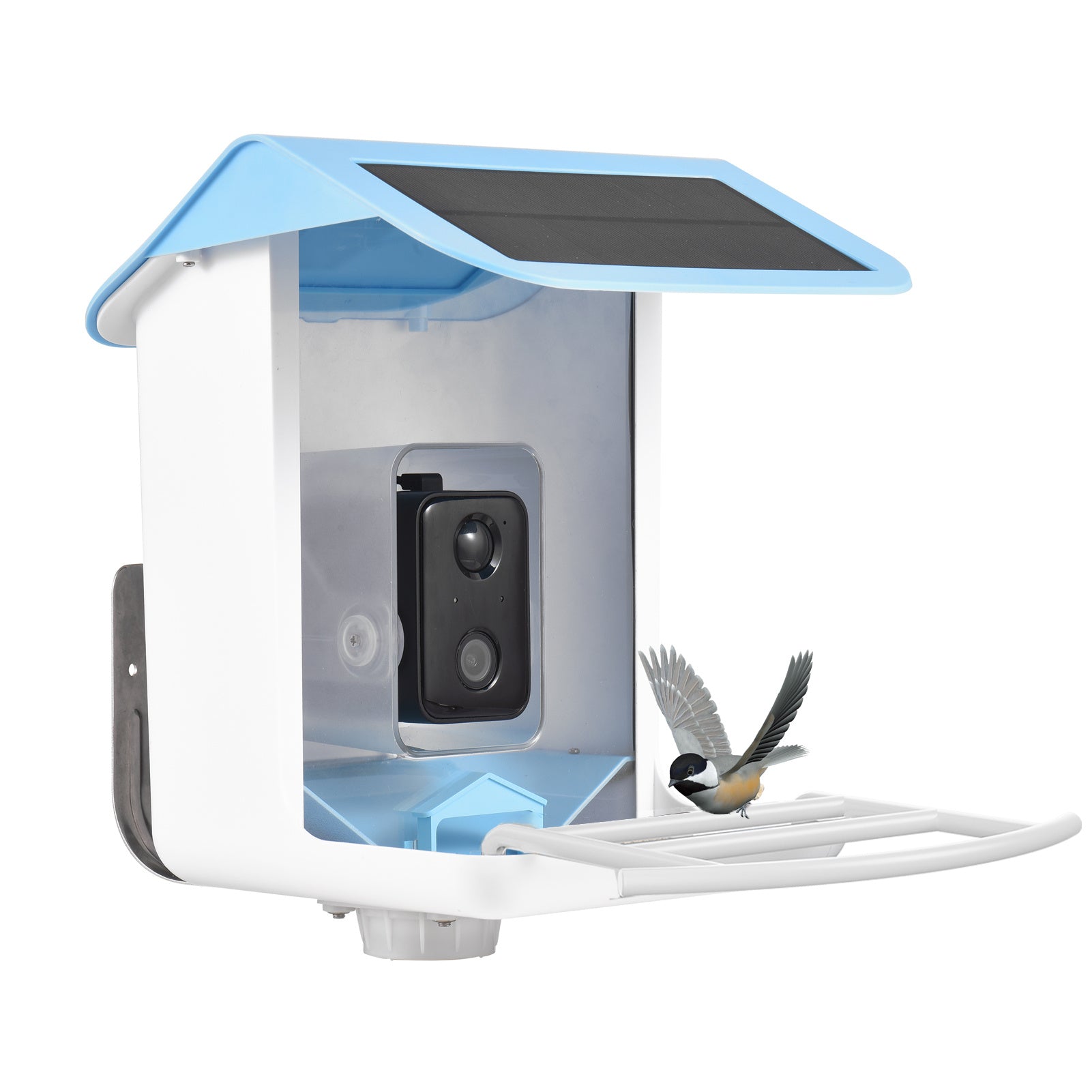 Smart Bird Feeder with AI Recognition Camera – Solar Powered