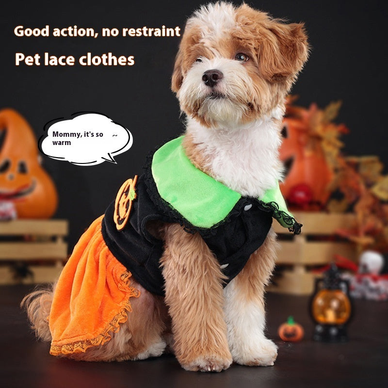 Halloween Pumpkin Pet Costume – Classic Skirt Outfit for Dogs and Cats