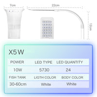 White light