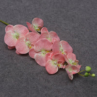 9heads long pink