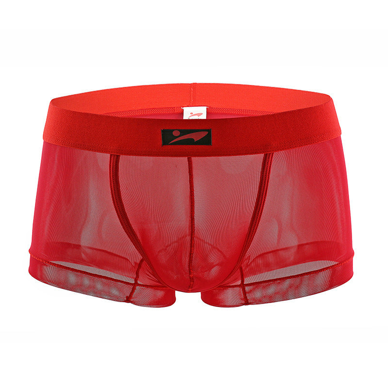 Men's Transparent Mesh Fashion Breathable Underwear