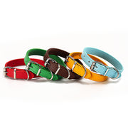 Adjustable Pet Collar