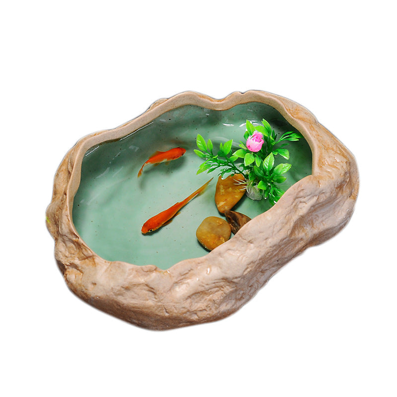 Retro Large Turtle Fish Tank Hydrocotyle Bowl