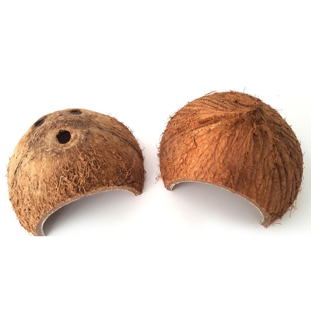 Reptile Coconut Shell Cave Natural Nest Hideout