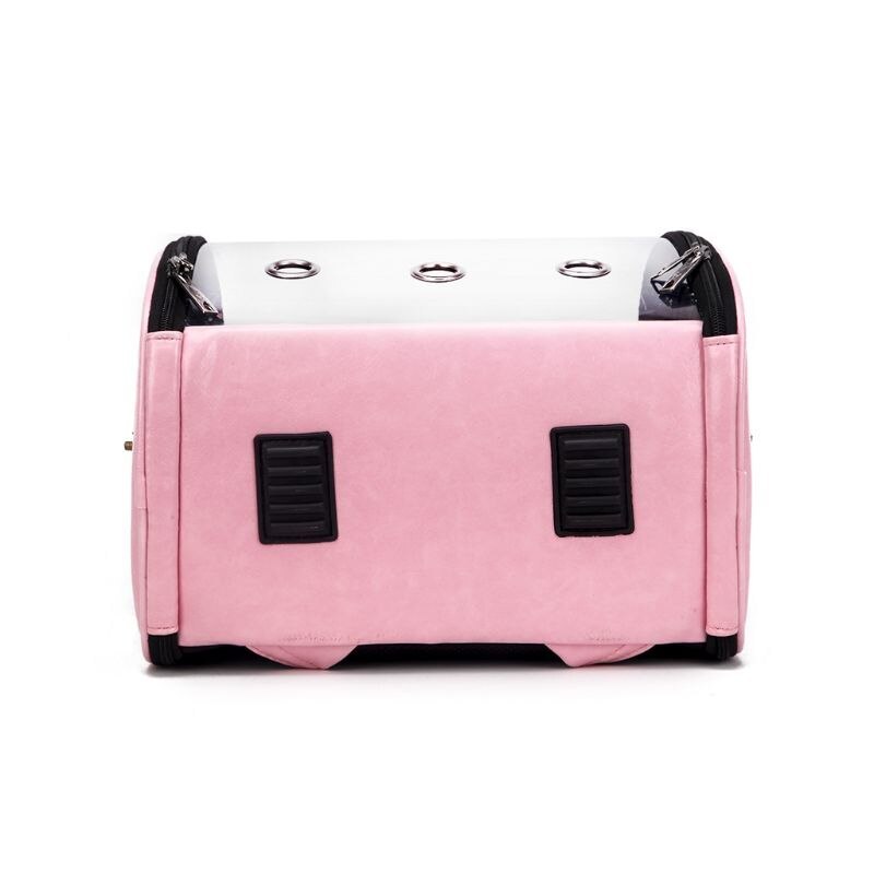 Foldable Breathable Pet Carrier Bag