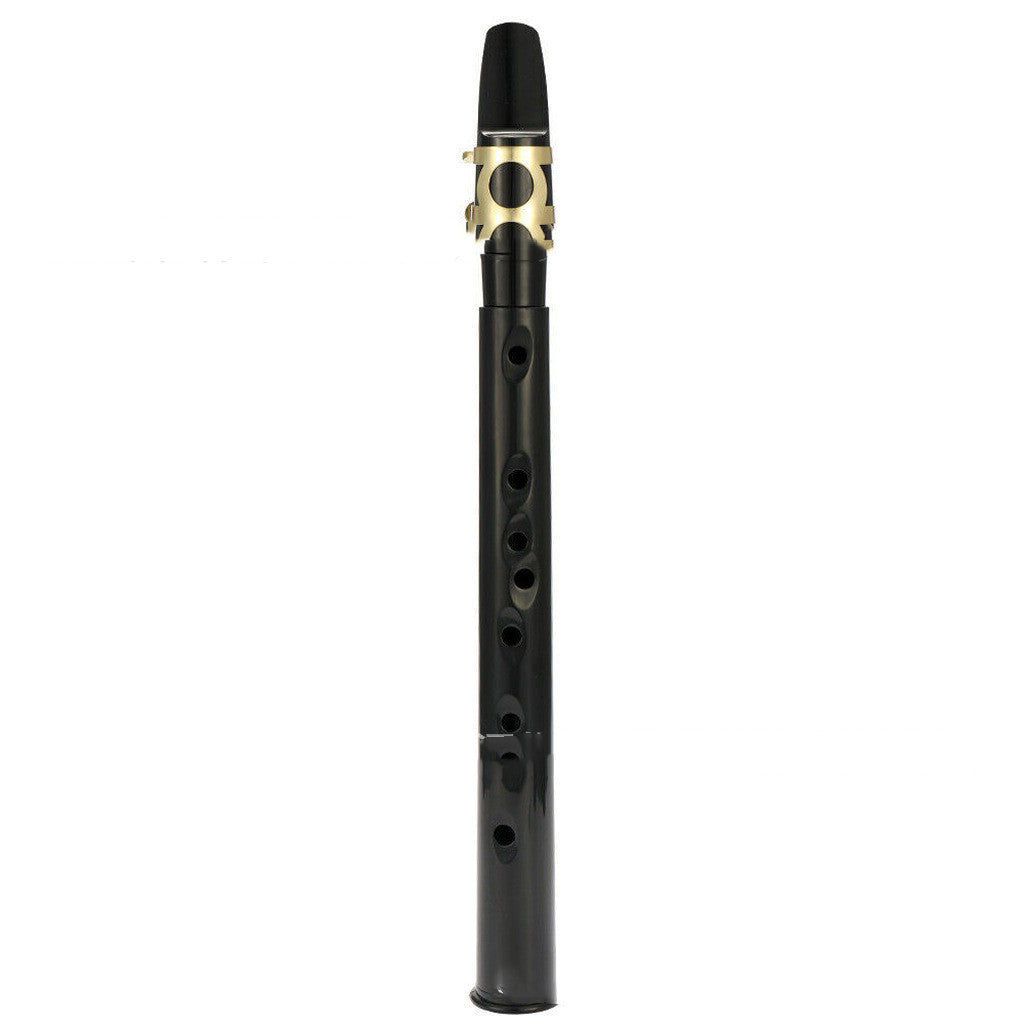 Portable Mini Saxophone Alto Mouthpiece Sax Draagbare Saxofoon Lichtgewicht Sax Muziekinstrumenten Met Draagtas Voor Beginner