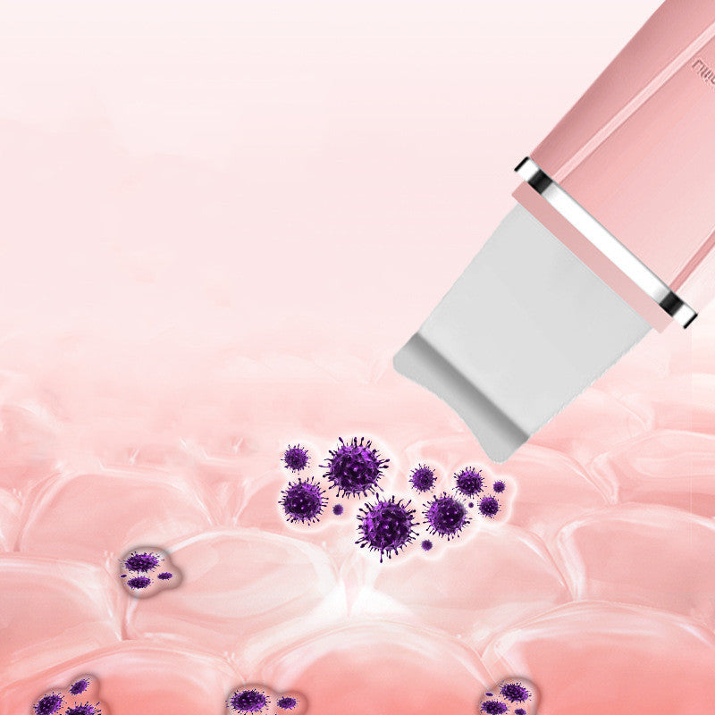 Ultrasonic Beauty Equipment Facial Skin Cleanser Importer
