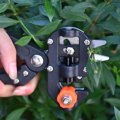Grafting Pruning Shears For Grafting Fruit Tree Seedlings