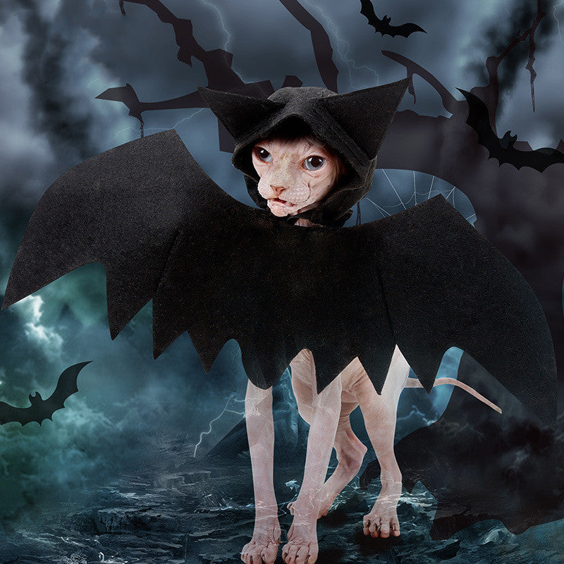 Halloween Pet Bat Wings – Funny Dog and Cat Costume Accessory