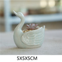 Small Swan1