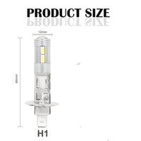 H1