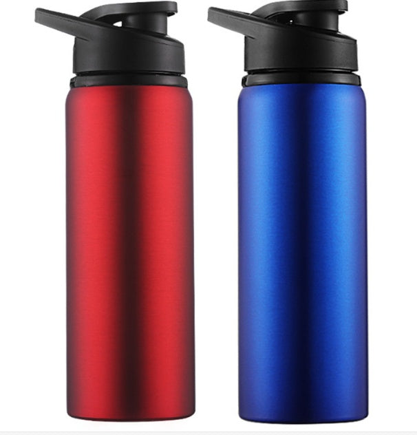 Stainless Steel Water Bottle 700ml – Leak-Proof, Lightweight & Durable