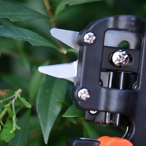 Grafting Pruning Shears For Grafting Fruit Tree Seedlings