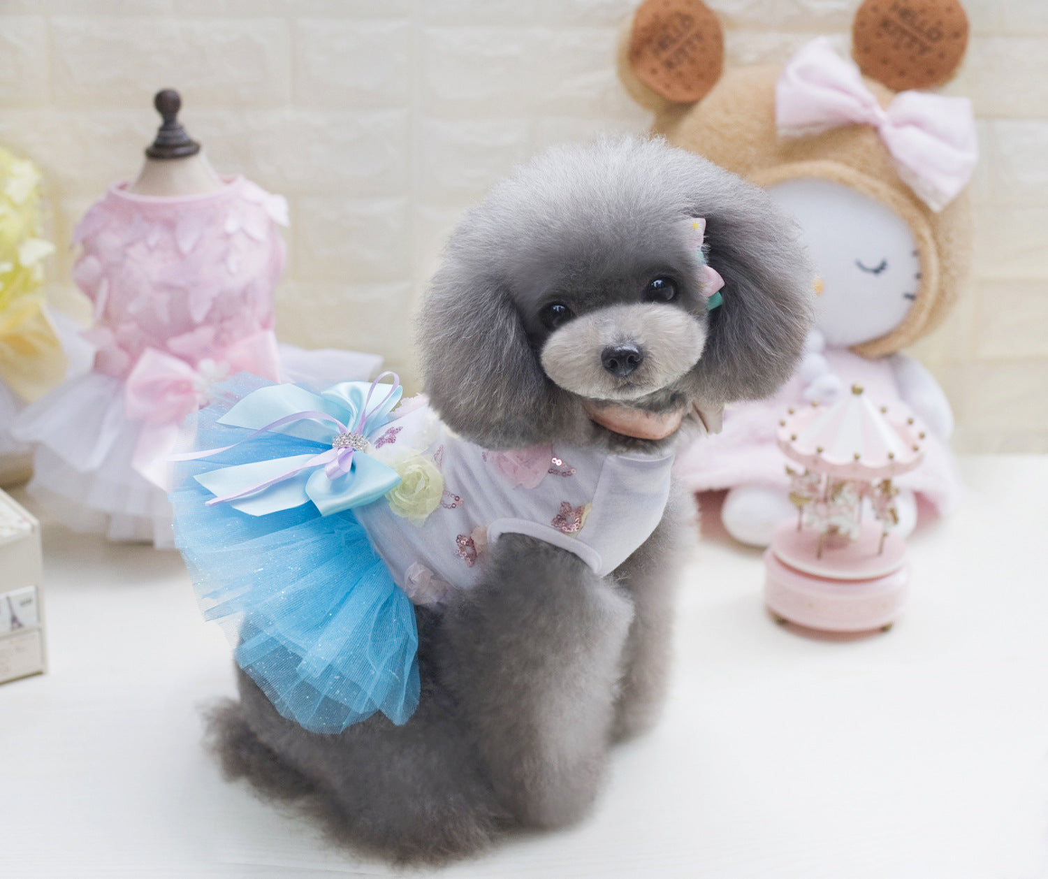 Teddy Dog Dress