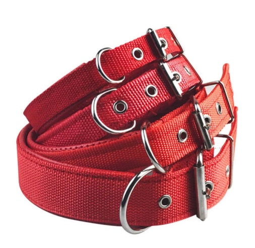 Nylon & Foam Comfort Dog Collar (Multi-Color)