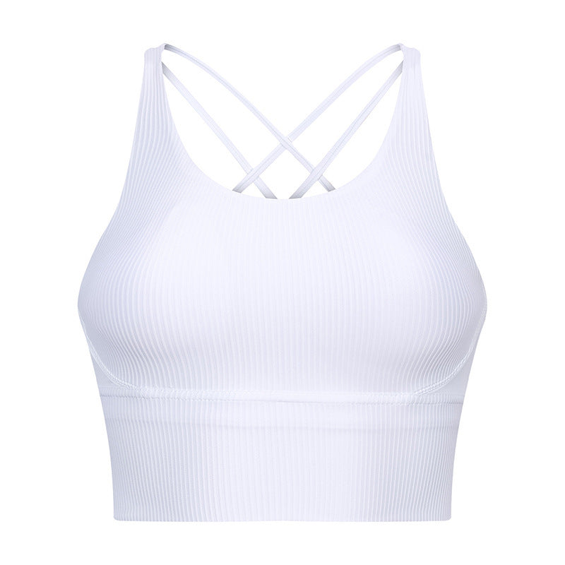 Women’s Seamless Sports Underwear – Breathable Briefs