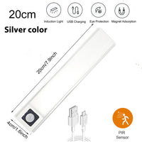 Silver20CM