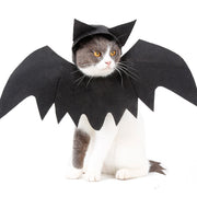 Halloween Pet Bat Wings – Funny Dog and Cat Costume Accessory