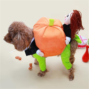 Halloween Pumpkin Pet Costume – Cute Decorative Outfit for Dogs and Cats