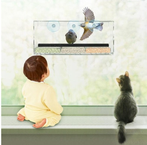 Acrylic Bird Feeder Box for Parrots and Small Birds