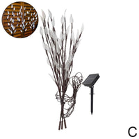 Solar Lawn Light