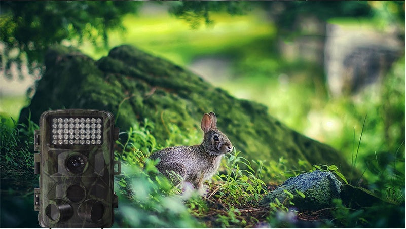Trail Game Camera – 1080P Wildlife Hunting Cam with Night Vision
