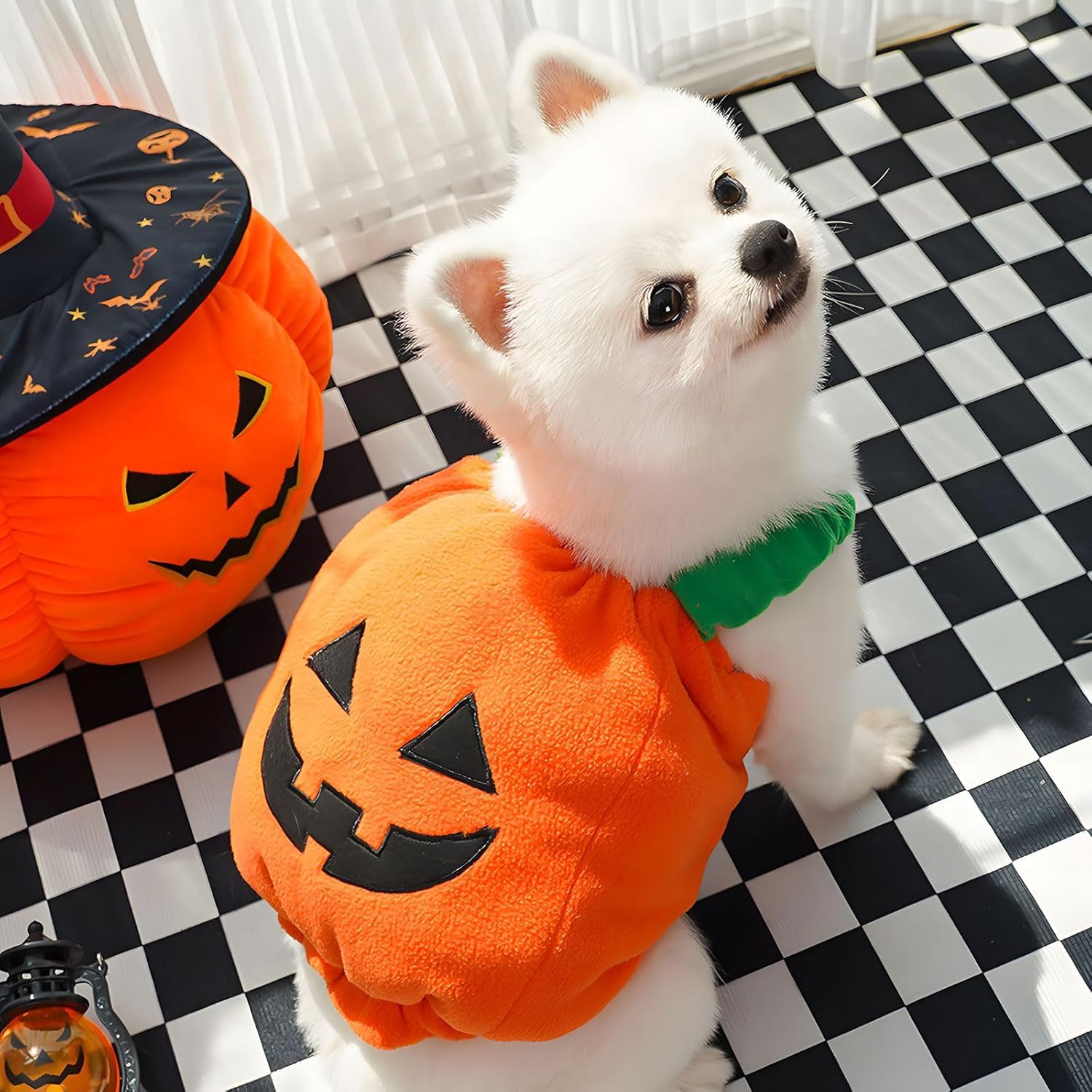 Funny Pumpkin Pet Costume – Plush Halloween Outfit for Small and Medium Dogs and Cats