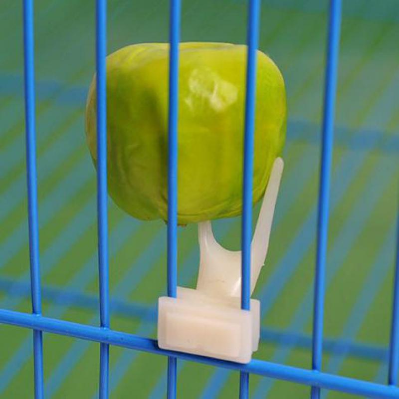 Bird Fruit Fork – Colorful Skewer Stick Feeder for Parrots and Small Birds