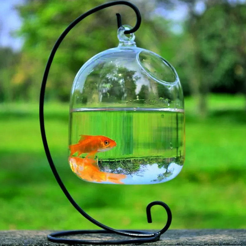 Transparent Glass Aquarium