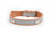 Reflective Three Bone Collar Pet Leash