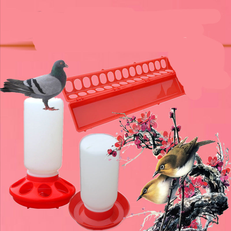 Pigeon Water Bottle Feeder – Automatic Bird Drinking Dispenser