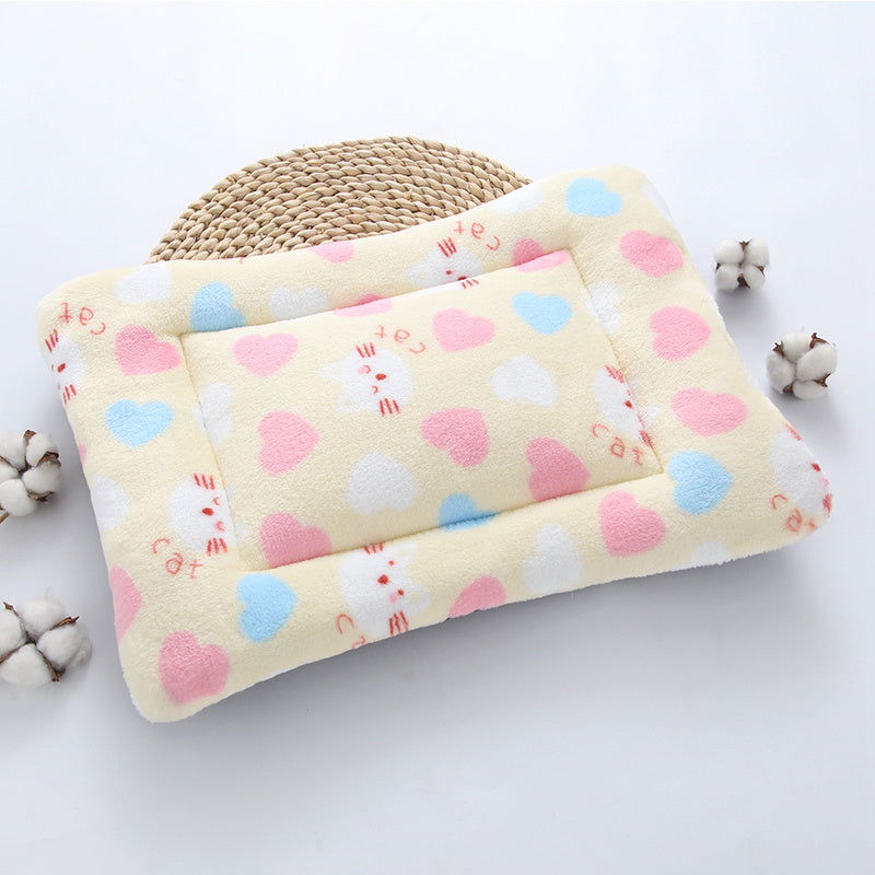 Household Thickened Bite Resistant Pet Mat