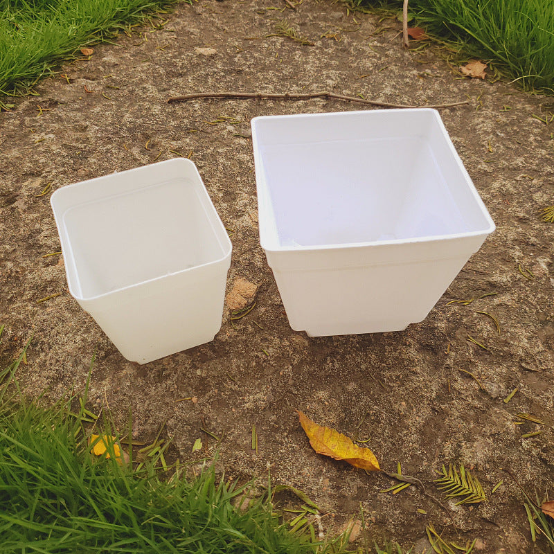 Fleshy Seedlings Small Flower Pots Plastic Square Pots Small Black Square Color Square Flower Pots Frosted Thick Colorful Mini Flower Pots