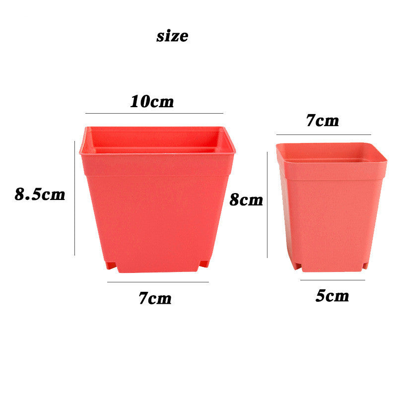 Fleshy Seedlings Small Flower Pots Plastic Square Pots Small Black Square Color Square Flower Pots Frosted Thick Colorful Mini Flower Pots