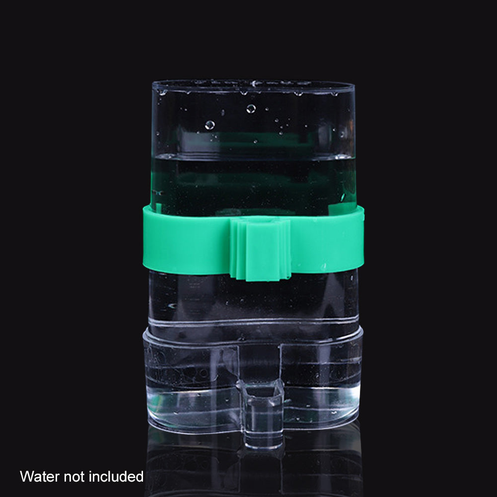 Munia Bird Automatic Water Drinker for Parrots
