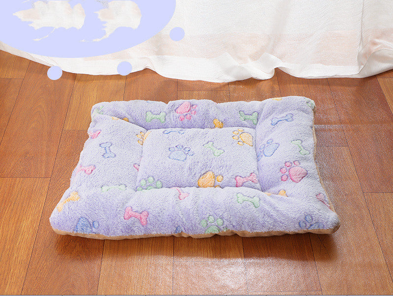 Cartoon Printing Pet Mat Thickening